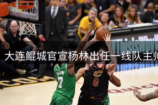 大连鲲城官宣杨林出任一线队主帅